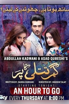 Дом раненного мотылька / Ghar Titli Ka Par