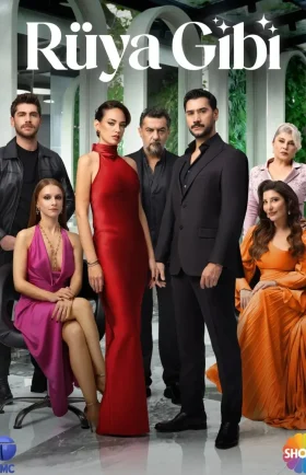 Словно сон / Rüya Gibi / Бархатные наручники / Госпожа Айдан